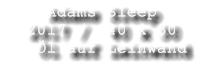 Adams Sleep   2017 /  40 x 30    Öl auf Leinwand